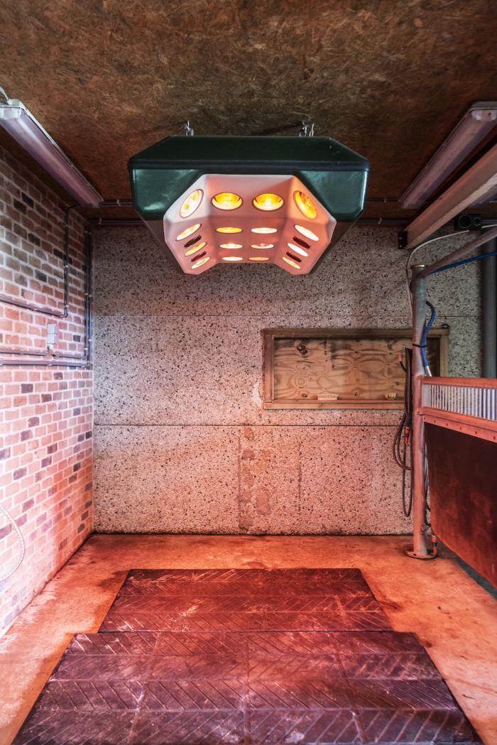 Genieten onder het solarium