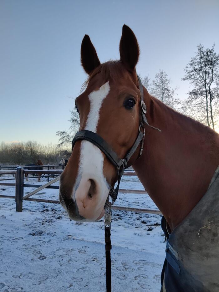  𝗸𝗻𝗮𝗽𝗽𝗲 𝘃𝗼𝘀 𝗿𝘂𝗶𝗻 