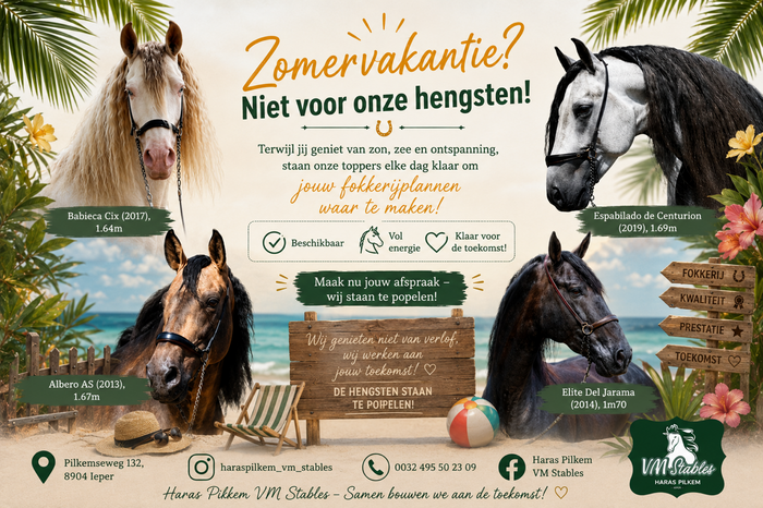 Zomervakantie